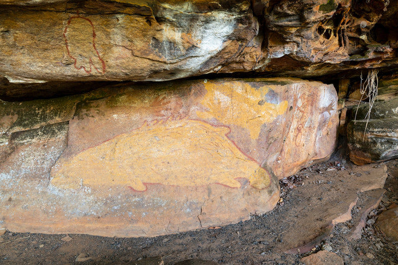 4WD Aboriginal Rock Art and Ranger Day Tour