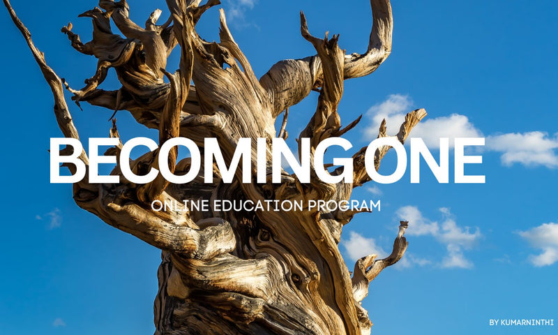 Becoming One Online Education Program