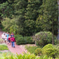 Adelaide Botanic Gardens Native Plant Trail