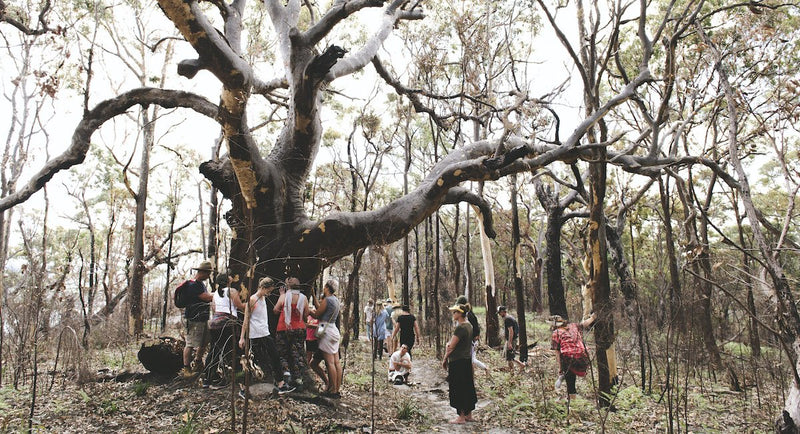 Bouddi Aboriginal Walking Tour