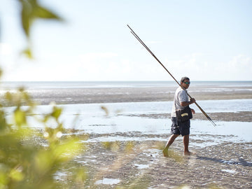 Daintree Private Charter - Half Day