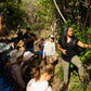 Private Aboriginal Tour in Byron Bay region