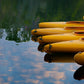 Malapparr Traveller Half Day Canoe