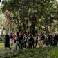 Cultural Tour of Adelaide Botanic Garden