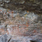 Kakadu National Park Private Rock Art tour